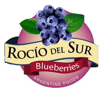 Logo 5
