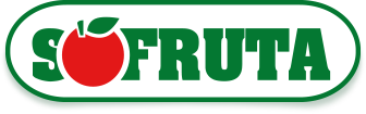 Logo 6